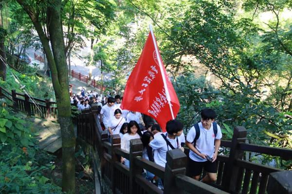 逃离壳牌岛