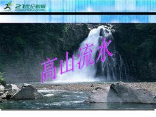 可爱的小考拉