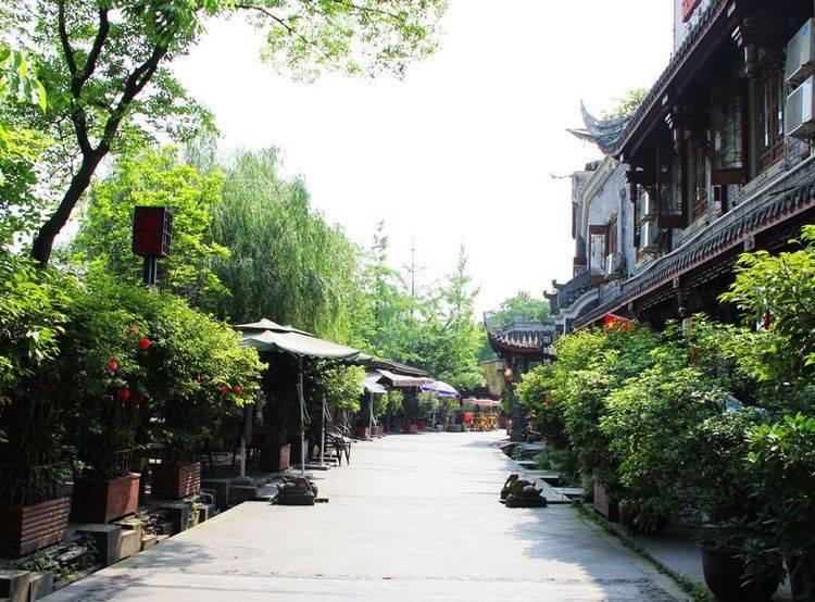 逃离白鸽之森